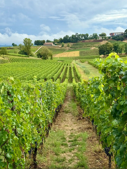 Chèque cadeau Vineaterra – Offrir une escapade