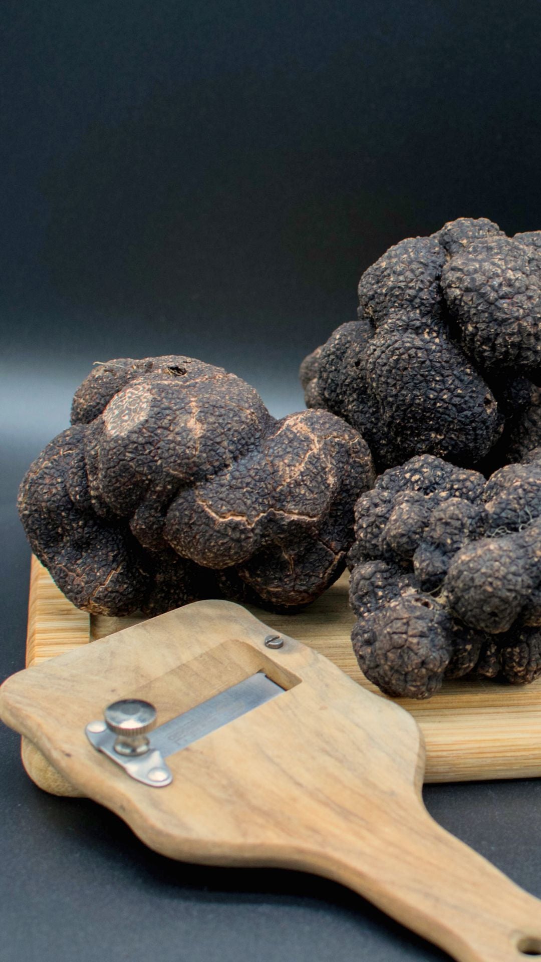 Effervescence Gourmande