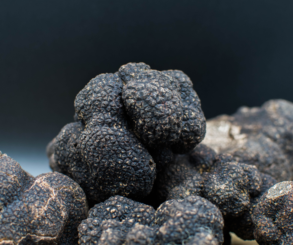 Effervescence Gourmande